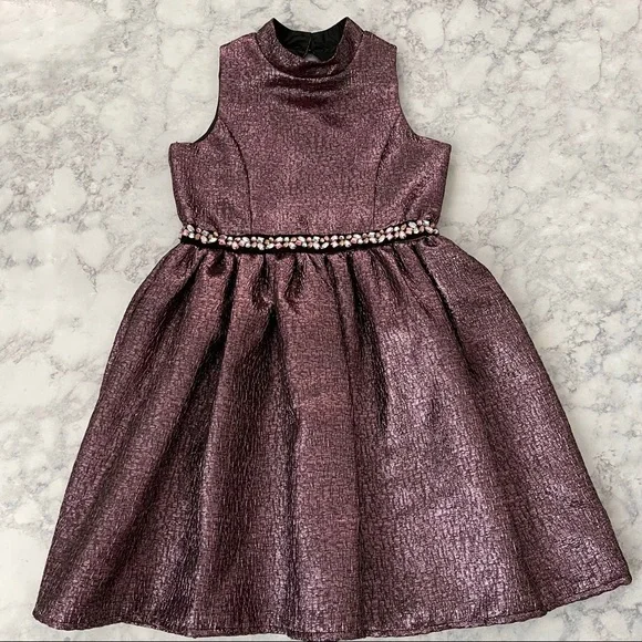 Zunie | Dresses | Zunie Nordstrom Purple Metallic Shimmer Jewel Dress Fancy  Party Wedding Girls 4 | Poshmark